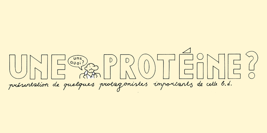 What's a protein ? - strip 1