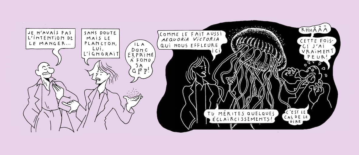 The greenest of us all - strip 2