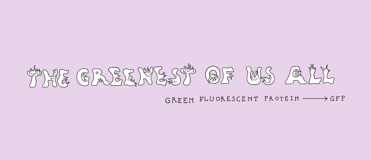 The greenest of us all - strip 3