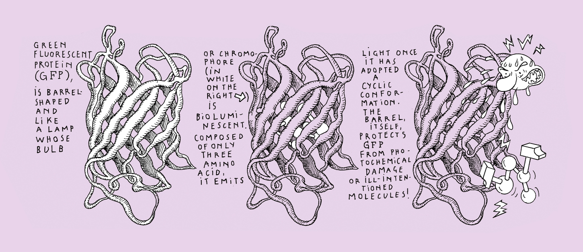 The greenest of us all - strip 5