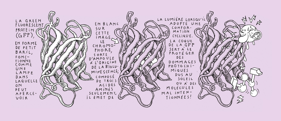 The greenest of us all - strip 5