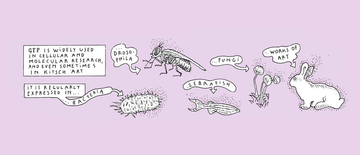 The greenest of us all - strip 6