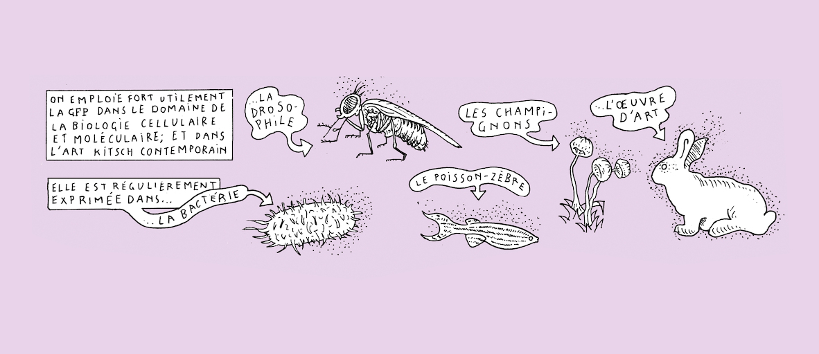 The greenest of us all - strip 6