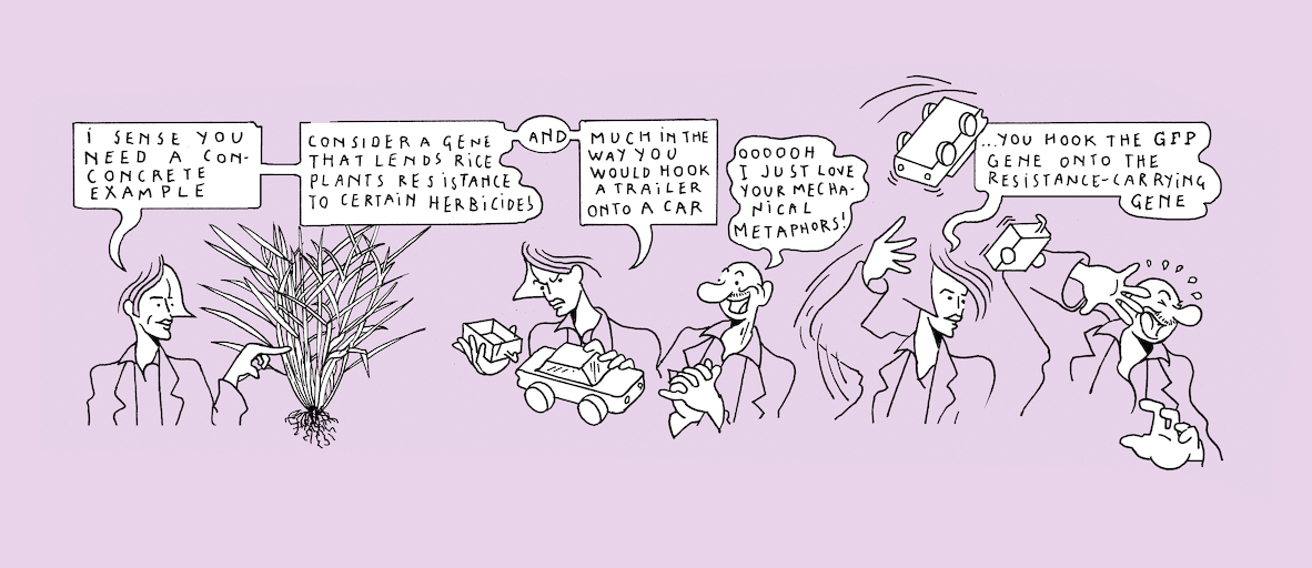 The greenest of us all - strip 7