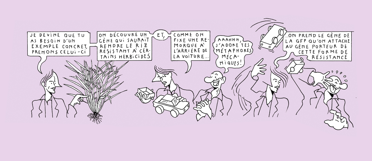 The greenest of us all - strip 7