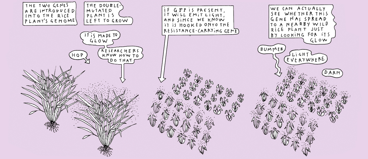 The greenest of us all - strip 8