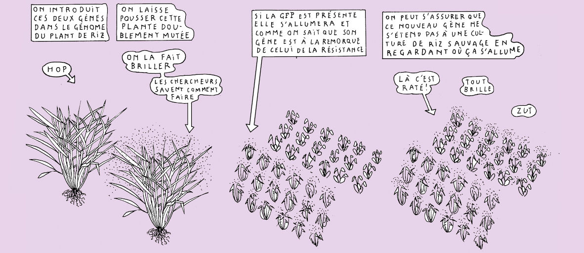 The greenest of us all - strip 8