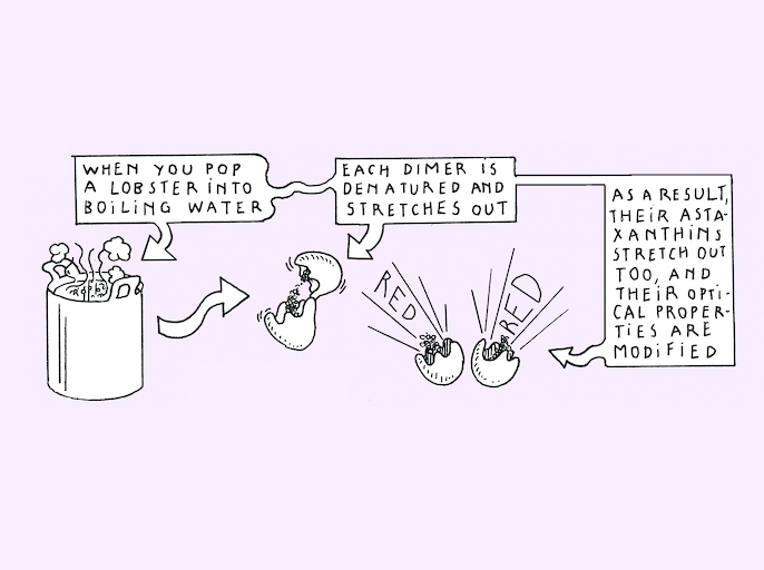 Twist and shift - strip 8