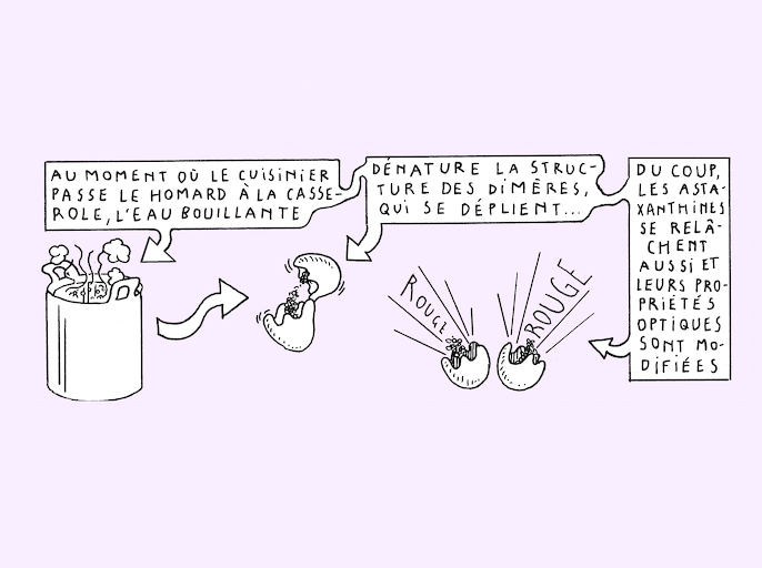 Twist and shift - strip 8