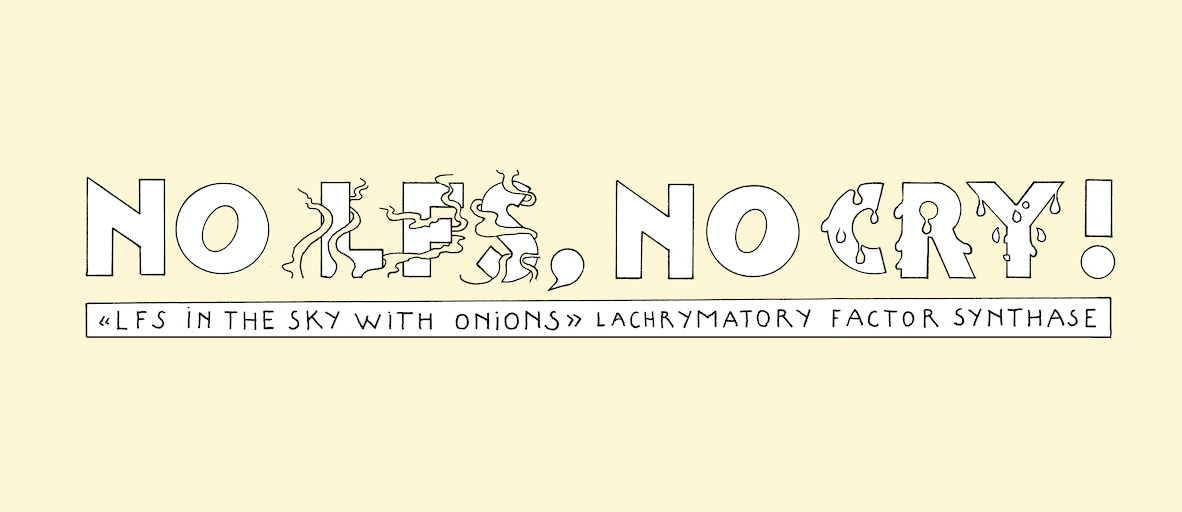 No LFS, no cry - strip 3