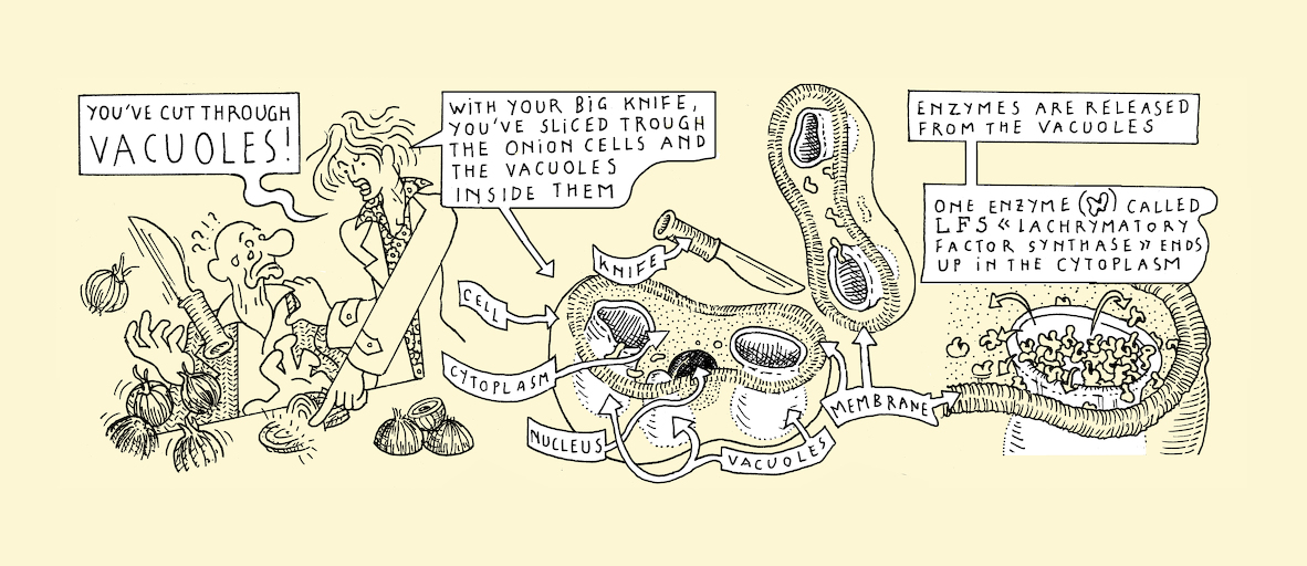 No LFS, no cry - strip 4