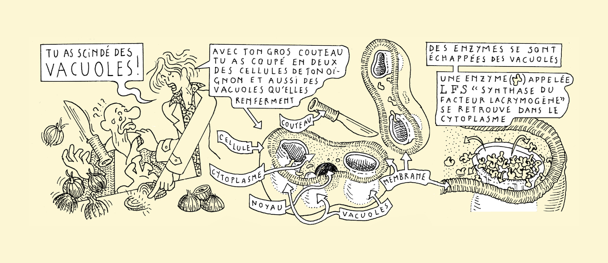 No LFS, no cry - strip 4
