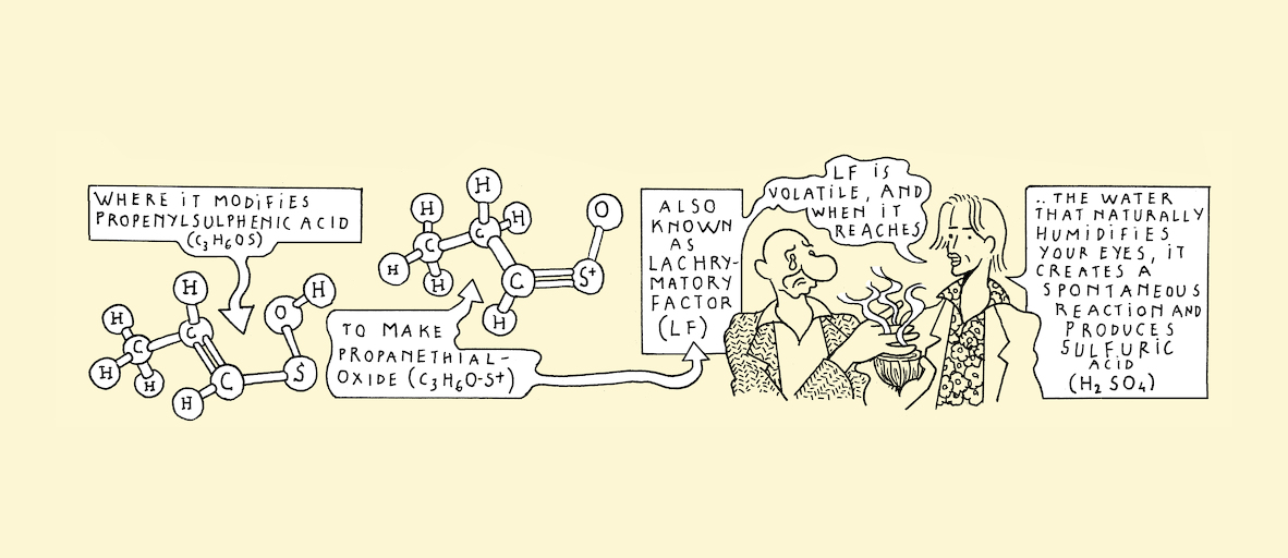 No LFS, no cry - strip 5