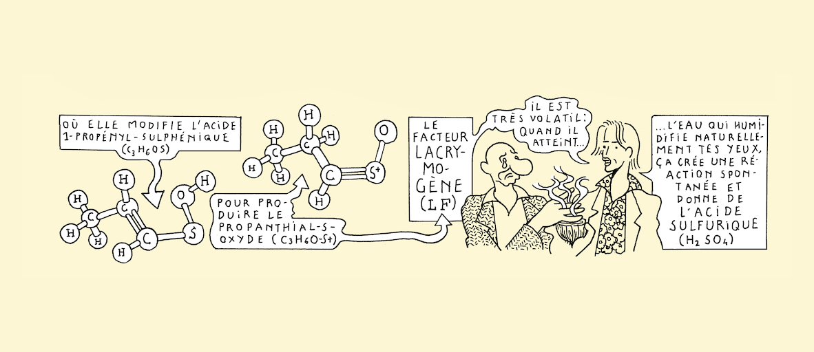 No LFS, no cry - strip 5