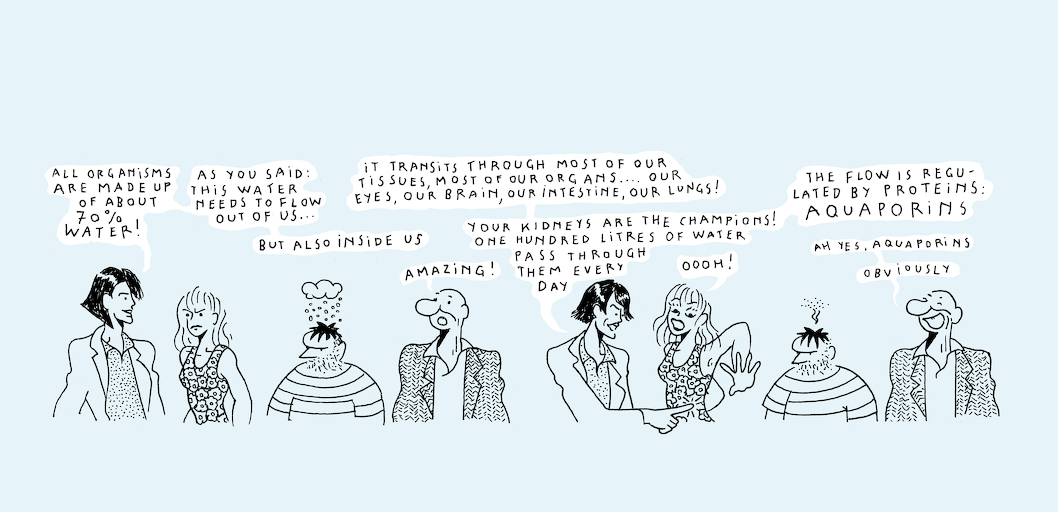 Liquid states - strip 3