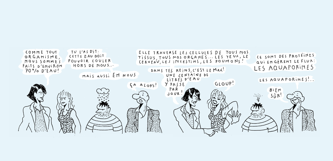 Liquid states - strip 3