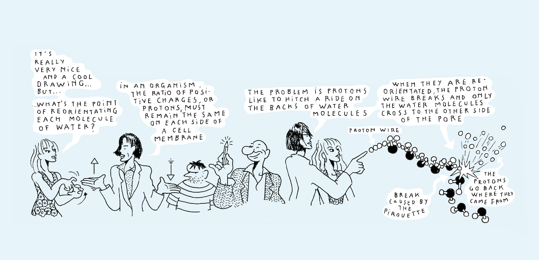 Liquid states - strip 8