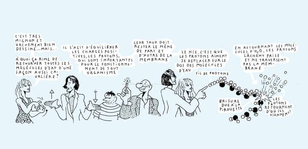 Liquid states - strip 8