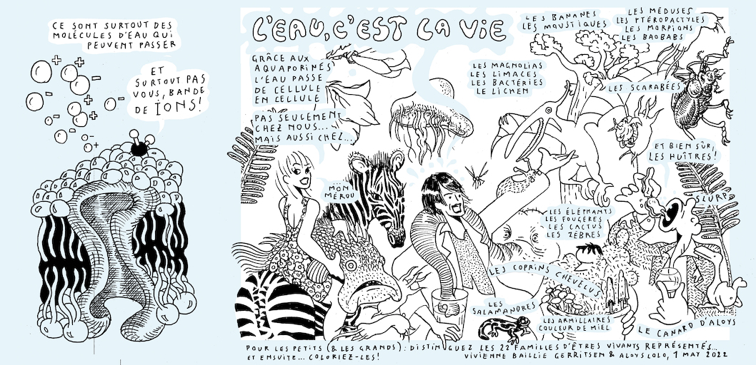 Liquid states - strip 9