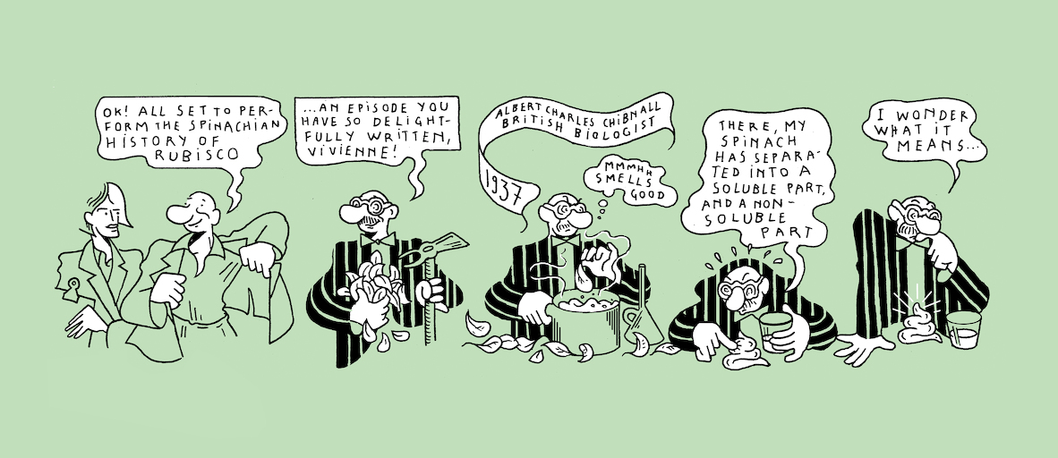 The Plant Kingdom's sloth - strip 1