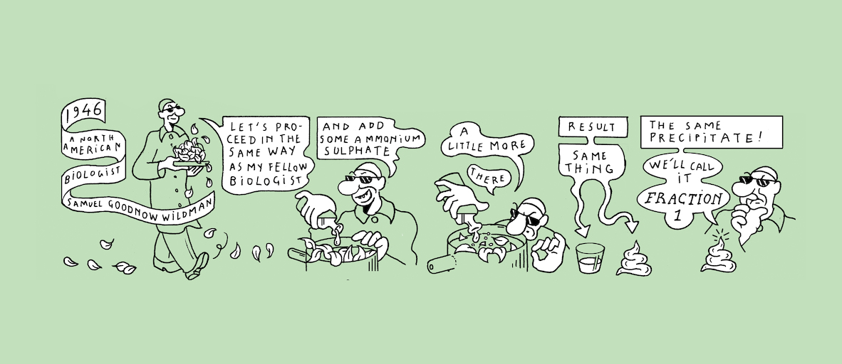 The Plant Kingdom's sloth - strip 2