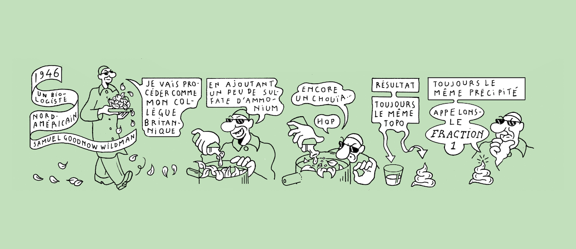 The Plant Kingdom's sloth - strip 2