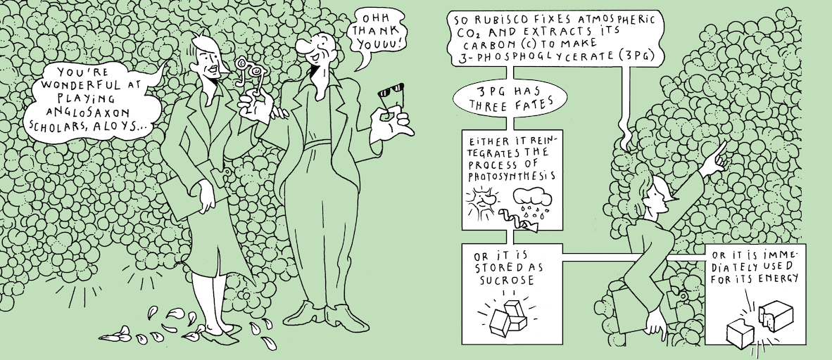 The Plant Kingdom's sloth - strip 6