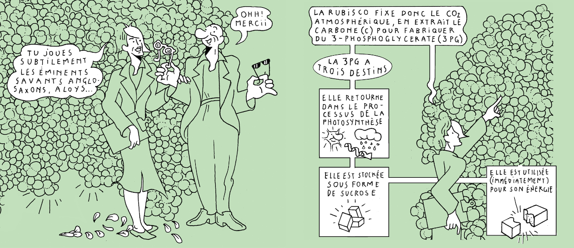 The Plant Kingdom's sloth - strip 6