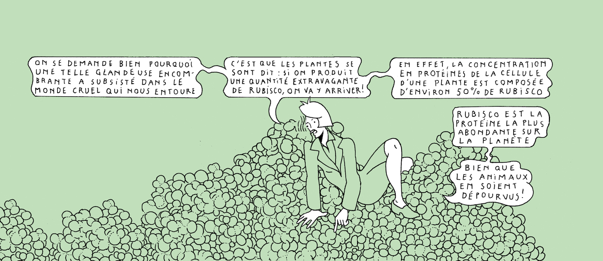 The Plant Kingdom's sloth - strip 8