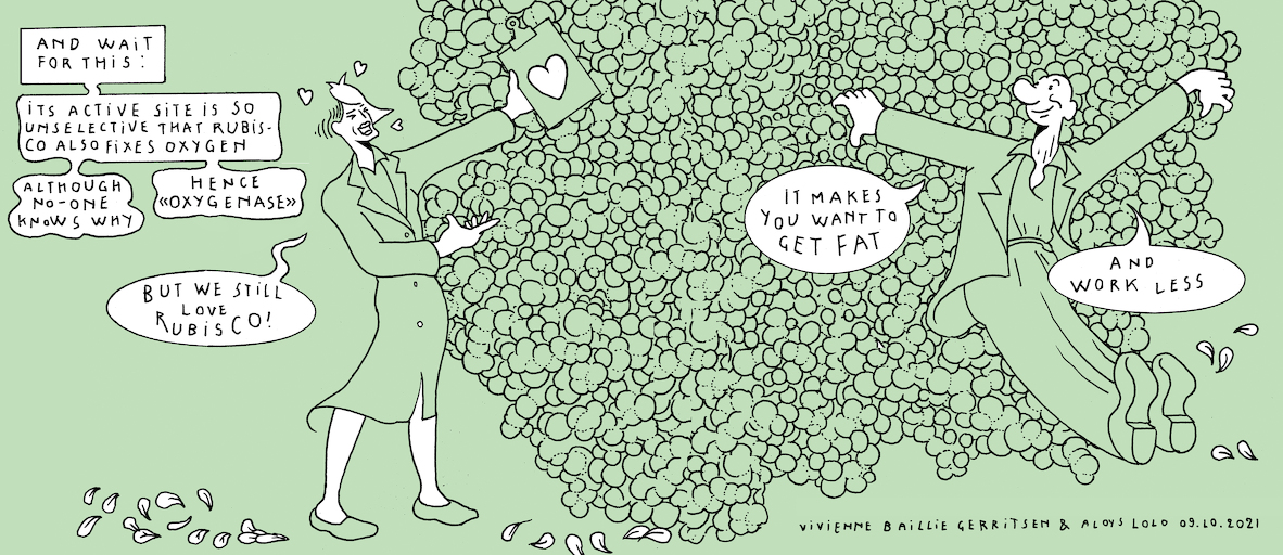 The Plant Kingdom's sloth - strip 9