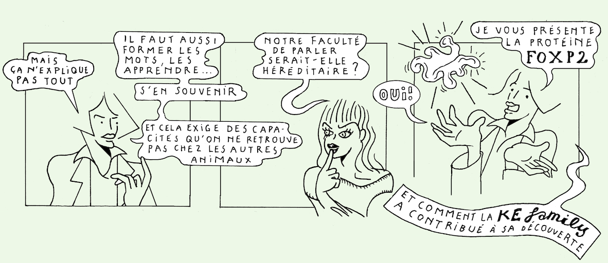 Talking heads - strip 4