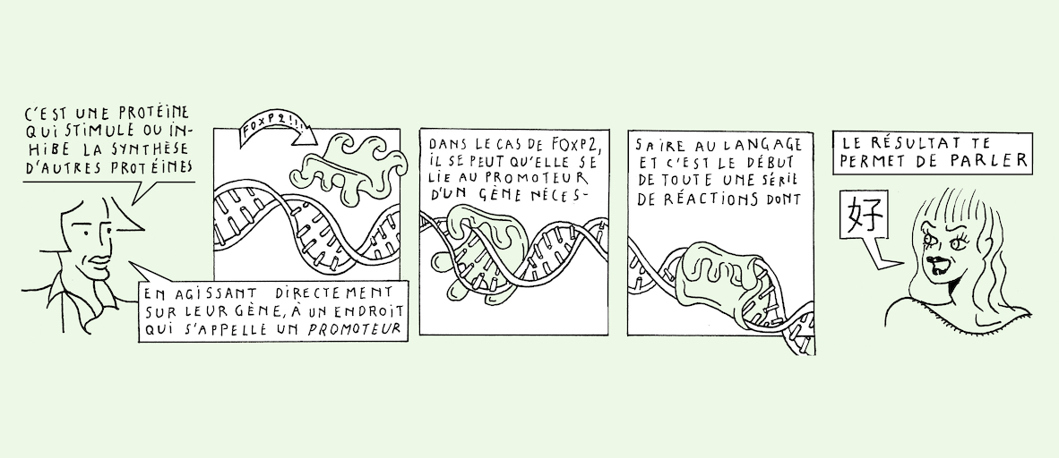 Talking heads - strip 7