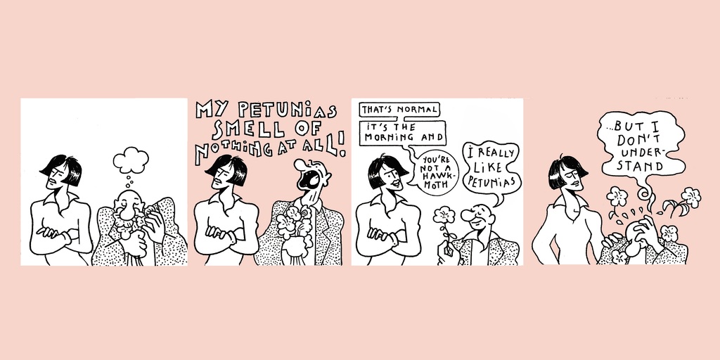 The life of a whiff - strip 2