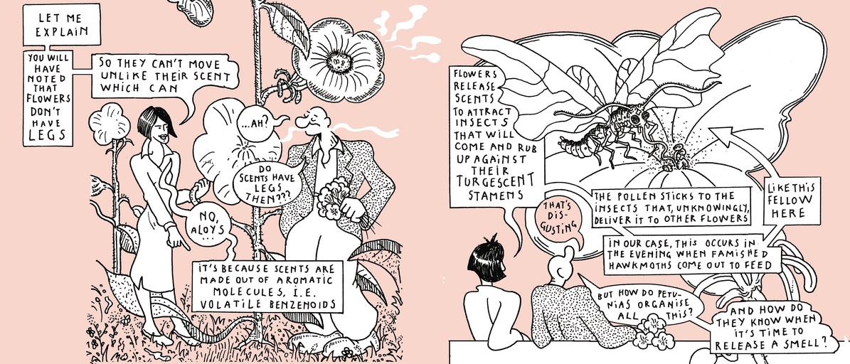 The life of a whiff - strip 4