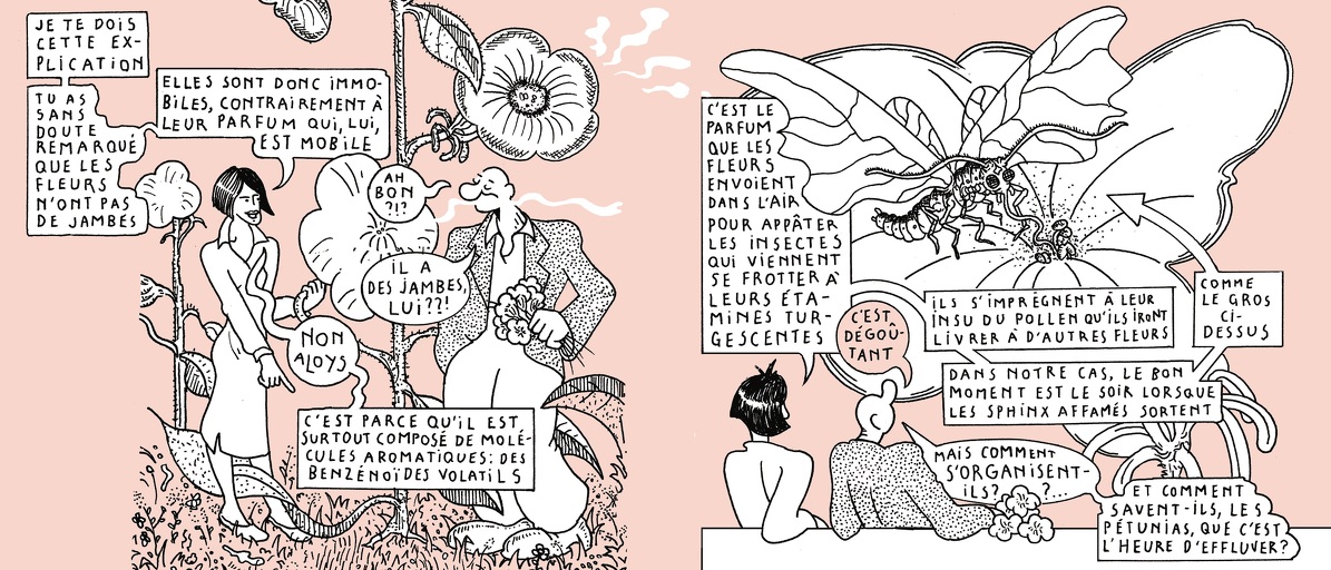 The life of a whiff - strip 4