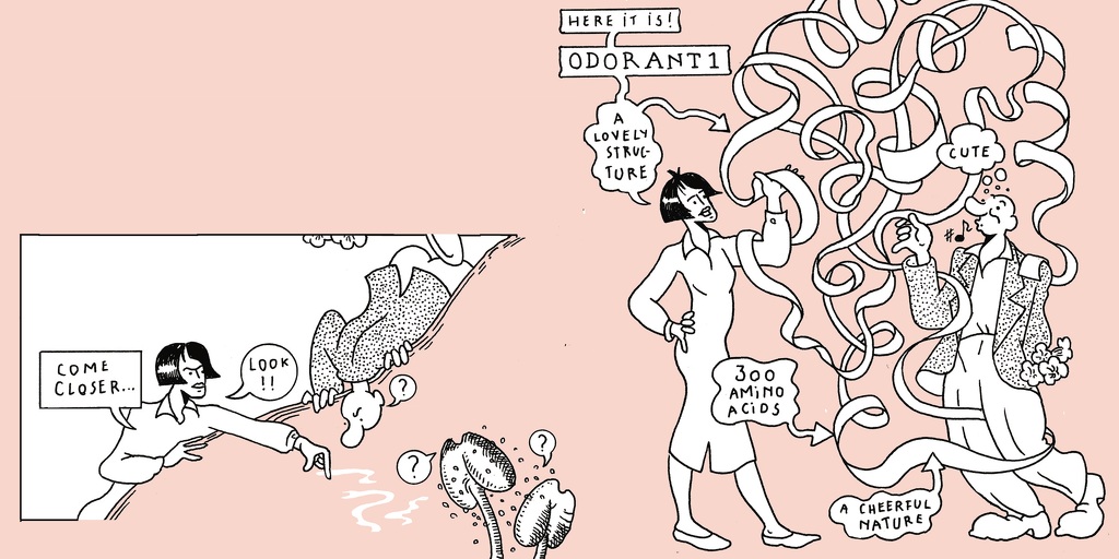 The life of a whiff - strip 5