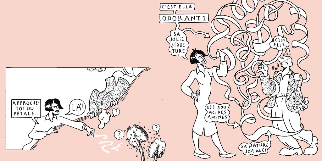 The life of a whiff - strip 5