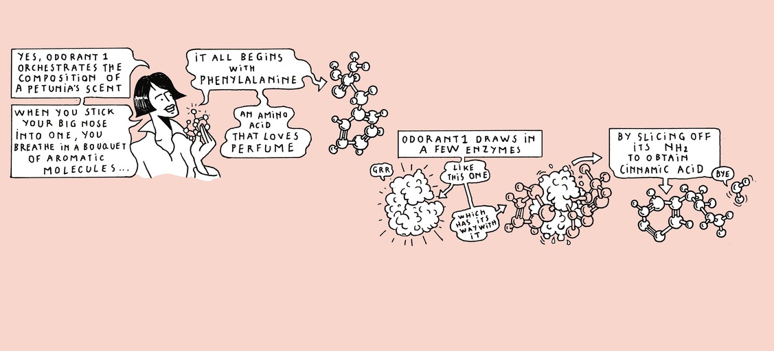 The life of a whiff - strip 6