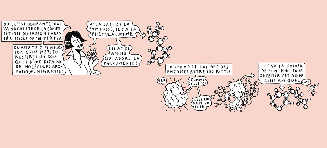 The life of a whiff - strip 6