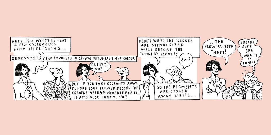 The life of a whiff - strip 8