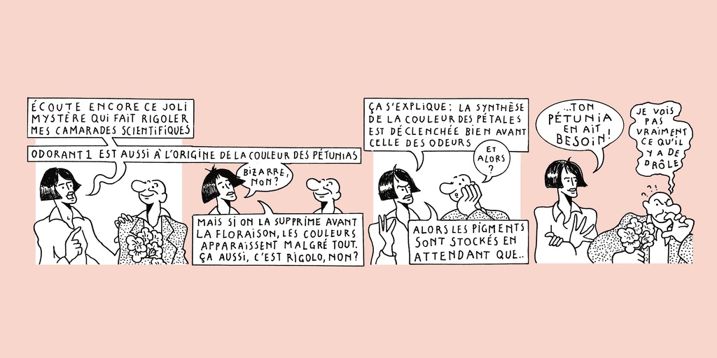 The life of a whiff - strip 8