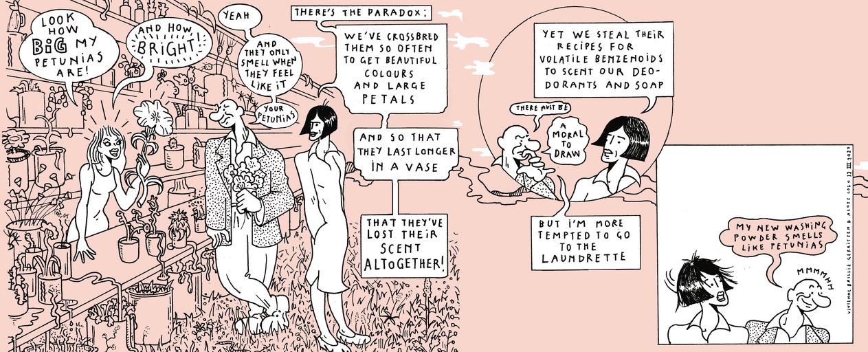 The life of a whiff - strip 9