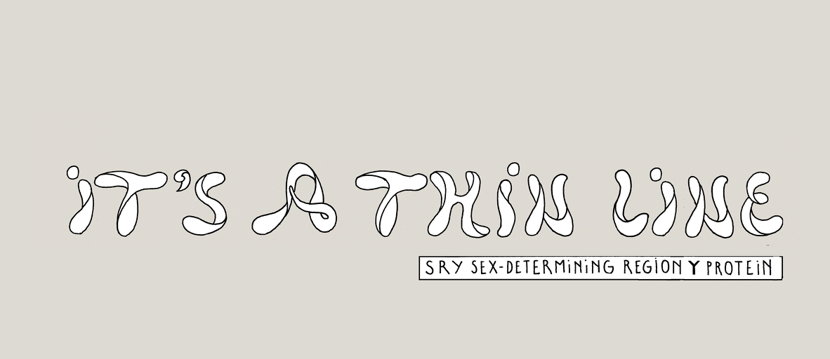 The tenuous nature of sex - strip 2