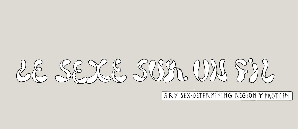 The tenuous nature of sex - strip 2