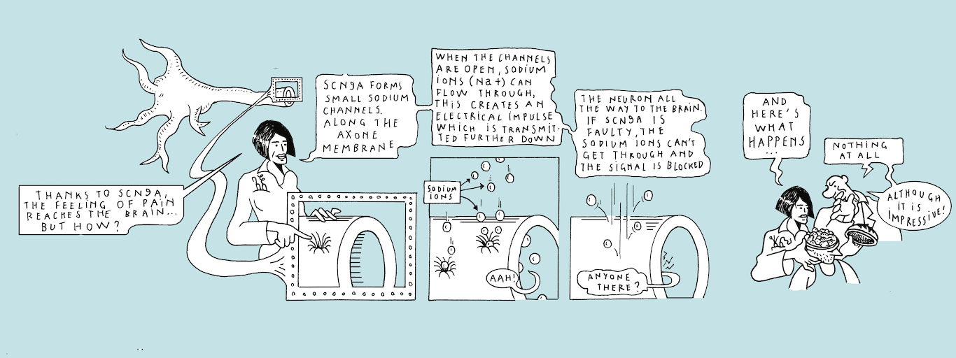 Silent pain - strip 6