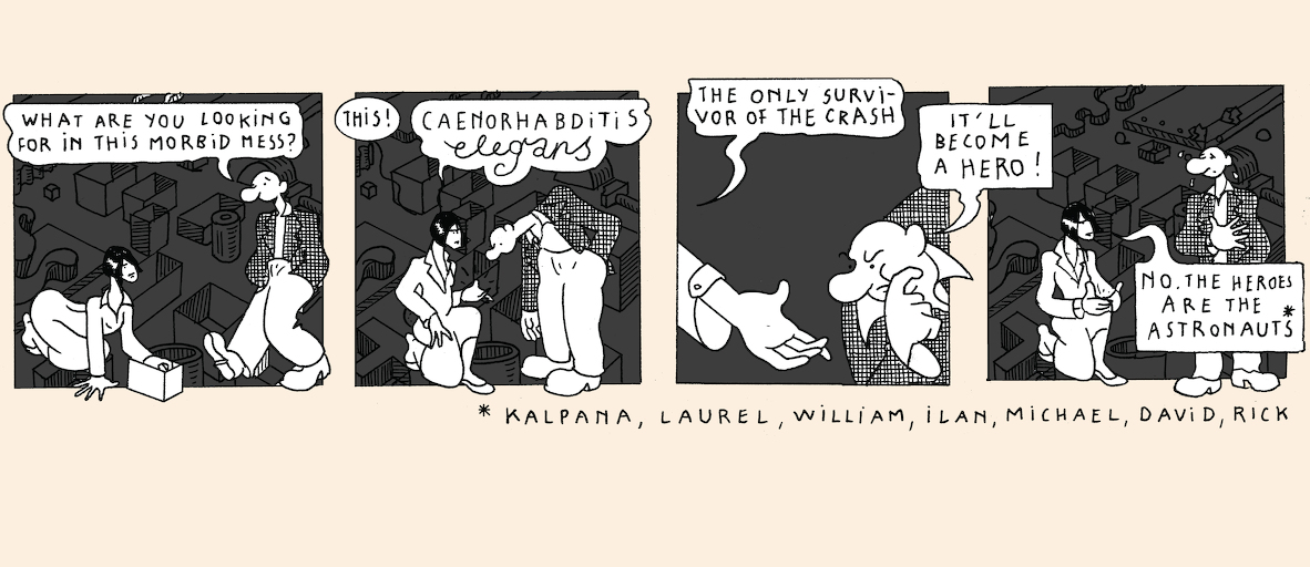 A taste of light - strip 2