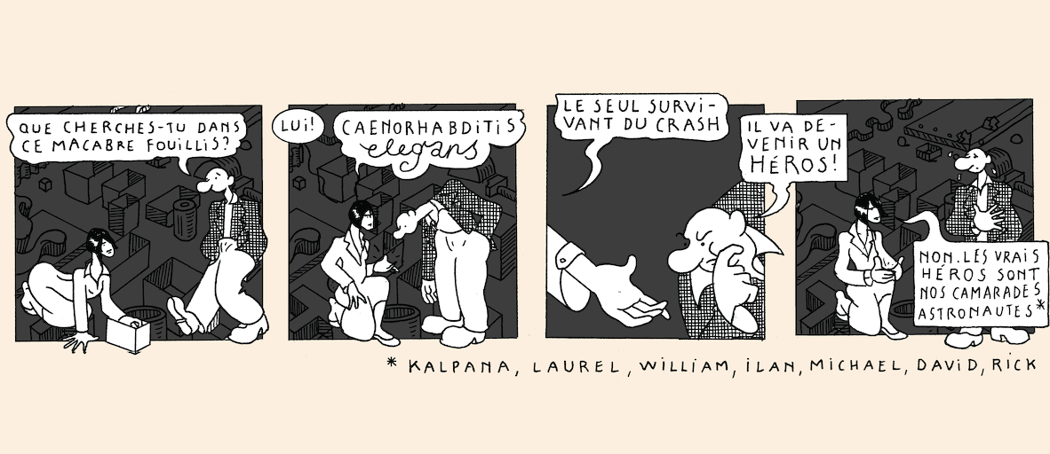 A taste of light - strip 2