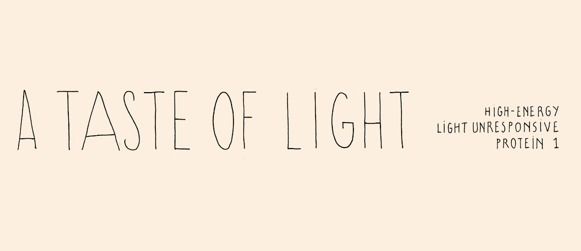 A taste of light - strip 3