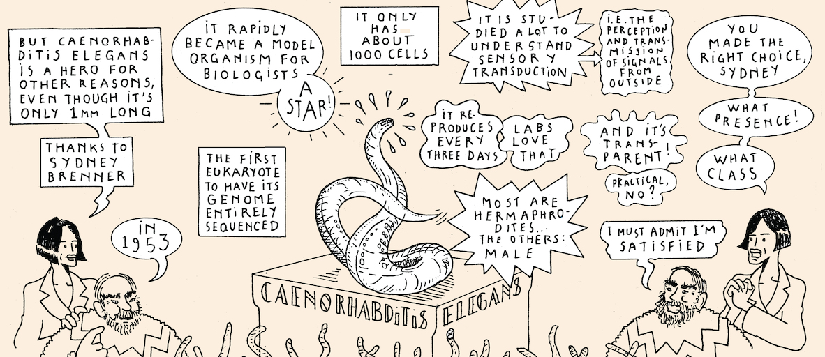 A taste of light - strip 4