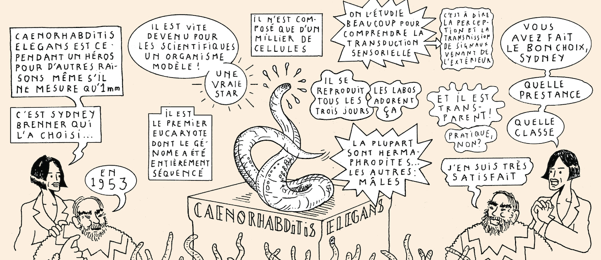 A taste of light - strip 4